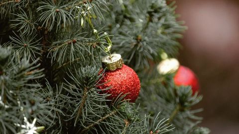 Recomiendan retirar el pino navideño para evitar incendios