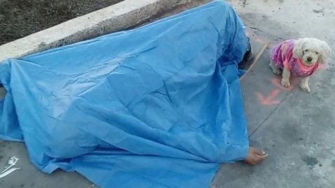 Perrito resguarda cuerpo de su dueño