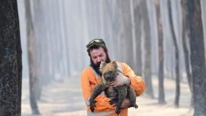 FOTOS: Animales rescatados en Australia