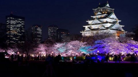 Aerolínea regalará vuelos para viajar a Japón por Juegos Olímpicos