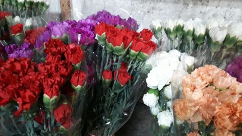 Flores locales, una opción para economizar este San Valentín