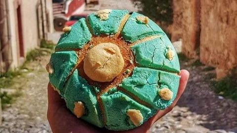 Peyoconcha: la concha inspirada en el peyote de Real de Catorce