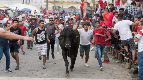 Multarán a quien maltrate a toros en fiestas de Tlacotalpan, Veracruz