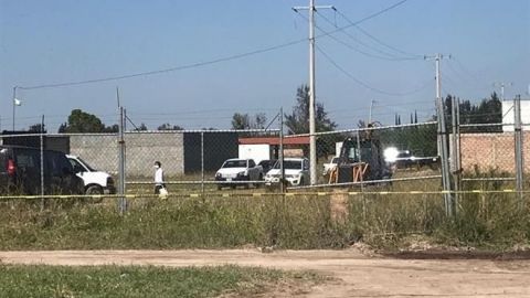 Hallan 29 cuerpos en una fosa en Jalisco
