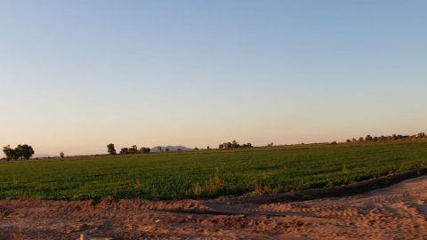 Voy contra los pillos del campo: Haros