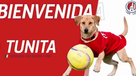 VIDEO: El Atlético de San Luis encuentra y ficha a ''Tunita''