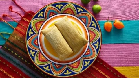 Impartirán taller para aprender a hacer tamales con insectos