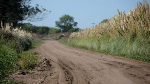 Crisis de constructoras en Oaxaca por programa de caminos rurales