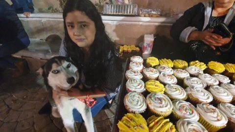 Max, el perro que vende cupcakes para costear su tratamiento de cáncer 😍