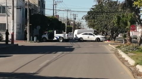 Ejecutado en Otay Jardín