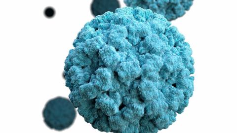 Más de 200 infectados por brote de norovirus en Estados Unidos