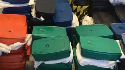 Guardia Nacional asegura 200 kilos de metanfetamina en Sonora