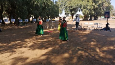 Festival de aves en la laguna México