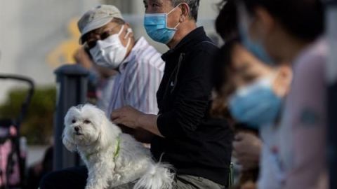 La OIE confirma el caso de un perro en Hong Kong con coronavirus