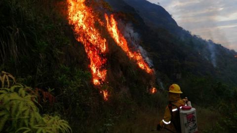 Más de 25.700 hectáreas se han perdido por incendios forestales en Colombia