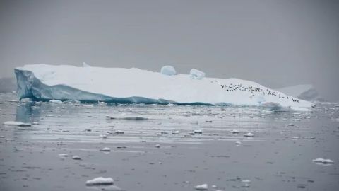 Deshielo en la Antártida revela una nueva isla