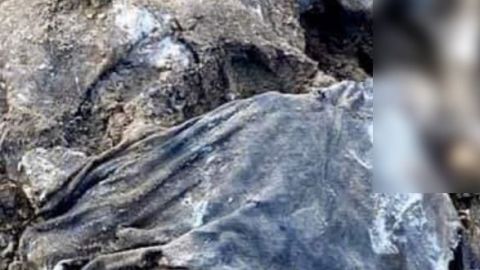 ⚠ IMÁGENES FUERTES ⚠ - Encuentran dos cadáveres en fosa clandestina de Tecate