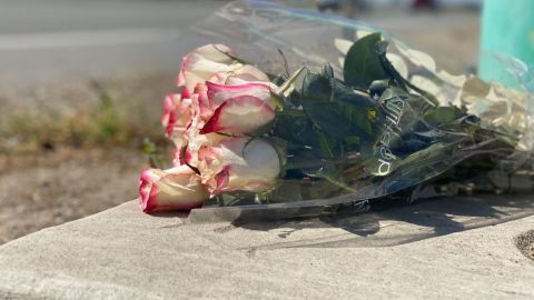 Creen que huyó a Tijuana automovilista que atropelló a Brescia Ayón