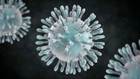 ¿Qué medidas se aplicarían en la segunda fase ante el coronavirus?