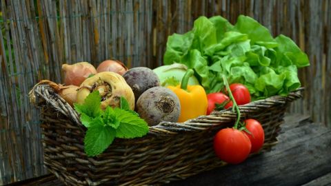 Alimentos que puedes cultivar en casa