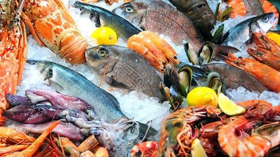 Precaución con el consumo de pescados y mariscos