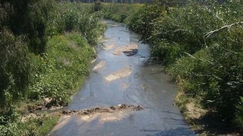Denuncian derrame de aguas negras a Arroyo Munguía