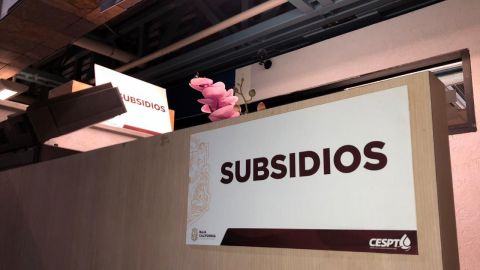 CESPT renovará de forma automática a beneficiarios de subsidios