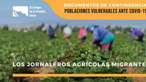 Jornaleros agrícolas en vulnerabilidad por Covid-19