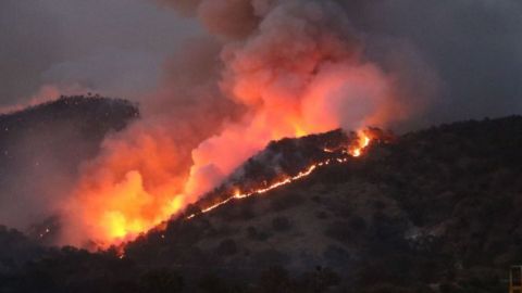 México tiene 77 incendios forestales en 20 estados