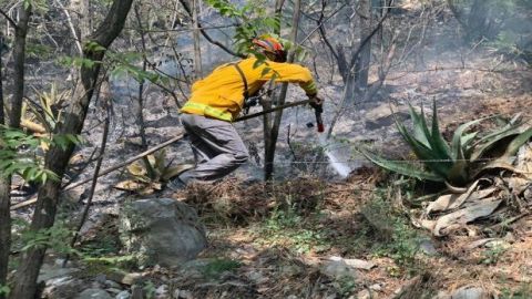 Incendios consumen 90 hectáreas forestales en Nuevo León