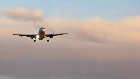 "Aerolíneas nacionales podrían cerrar por pérdidas de la cuarentena"