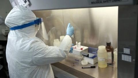 Científicos mexicanos descifran genoma de virus SARS-CoV-2