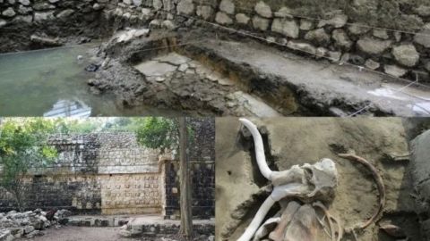 Tres hallazgos arqueológicos relevantes de México