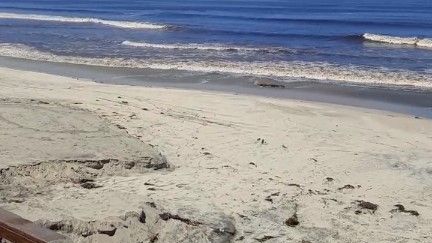 Video: Así lucen en estos momentos las playas de Tijuana