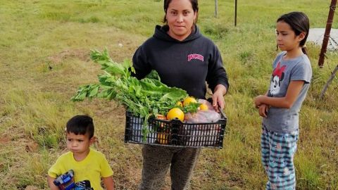 Vitivinicultores apoyan a familias del Valle de Guadalupe