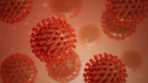 CONFIRMADO: El Coronavirus no se muere ni se transmite con el calor ni el frío
