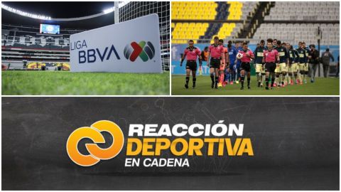 Reacción Deportiva en Cadena: VIDEO: Damas del periodismo deportivo y la Liga MX