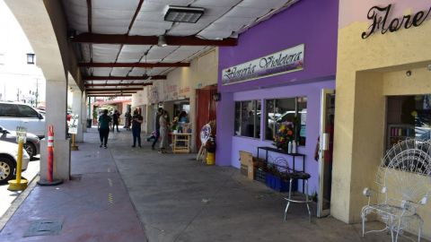 Florerías con mínimo movimiento