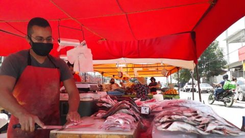 Aumenta precio de mariscos por escasez del producto