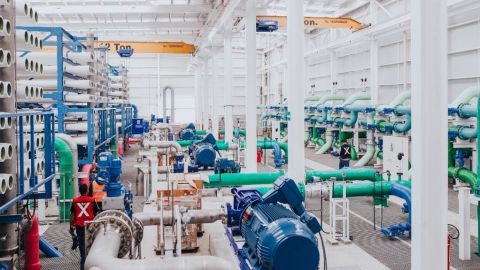 Apesta el agua en Ensenada