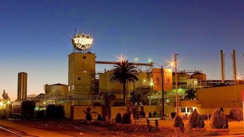 Humo blanco en la Tecate, al parecer ya producirán cerveza