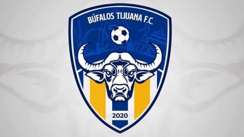 La Liga de Balompié Mexicano no llegará a Tijuana con Búfalos