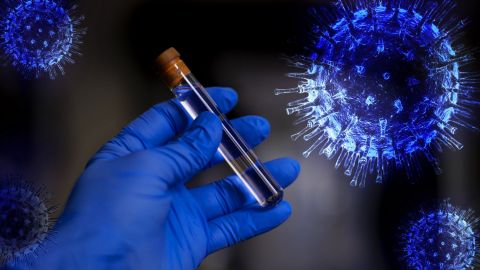 Cinvestav desarrolla prueba para detectar Covid-19 en 15 minutos