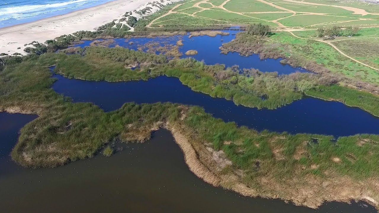 ¿Sabías Que Baja California Cuenta Con 19 áreas Naturales Protegidas?