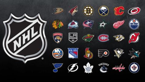NHL aprueba playoffs de 24 equipos si logra reanudar