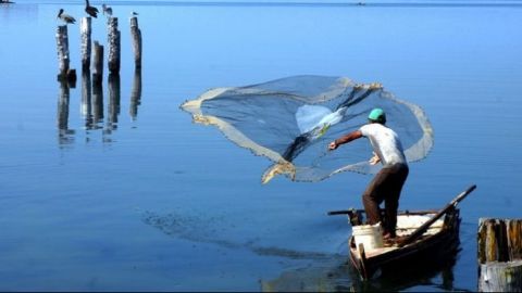 Aumenta pesca ilegal por pandemia de Covid-19