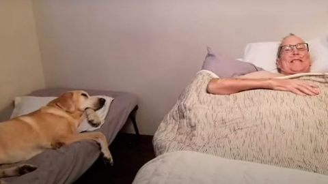 VIDEO: Perrito muere el mismo día que su dueño (Historia)