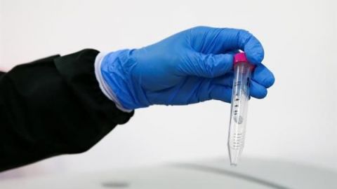 EE.UU. selecciona cinco finalistas para producir vacunas contra el coronavirus
