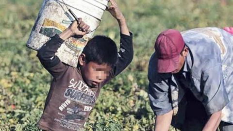 Preparan denuncias contra México por trabajo infantil