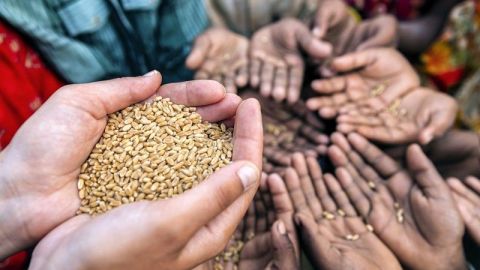 La ONU advierte de una ''emergencia alimentaria mundial'' si no se toman medidas